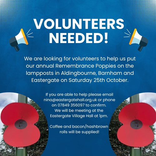 Volunteers needed to put poppies on lampposts