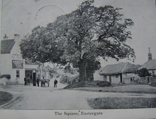 Elm Tree Stores